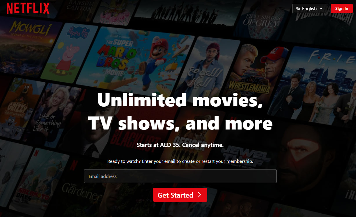 奈飞用什么加速器？2025年最值得推荐的Netflix加速器